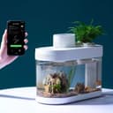 Xiaomi Mijia Descriptive Geometry Fish Tank