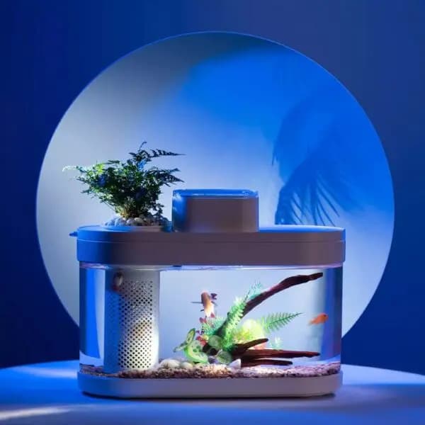 Xiaomi Mijia Descriptive Geometry Fish Tank