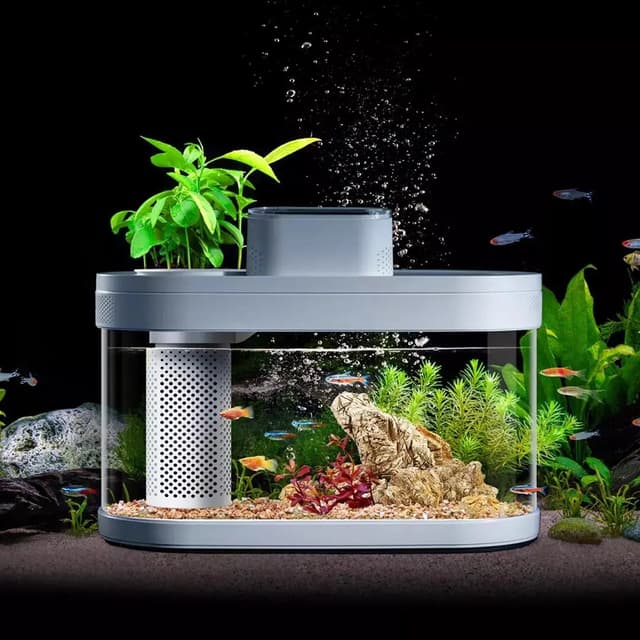 Xiaomi Mijia Descriptive Geometry Fish Tank