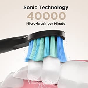 فرشاة اسنان كهربائية فيري ويل Fairywill Electric Toothbrush D8 Sonic Oral with 8 heads Case