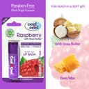 مرطب شفايف توت العليق كول اند كول Cool & Cool Lip Balm