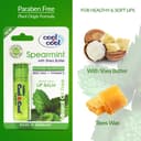 مرطب شفايف نعناع بارد كول اند كول Cool & Cool Lip Balm