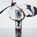 سماعة بلوتوث ايربودز نوثينق Nothing Ear stick wireless earbuds