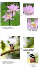 Apexel 60X Telephoto Smartphone Lens