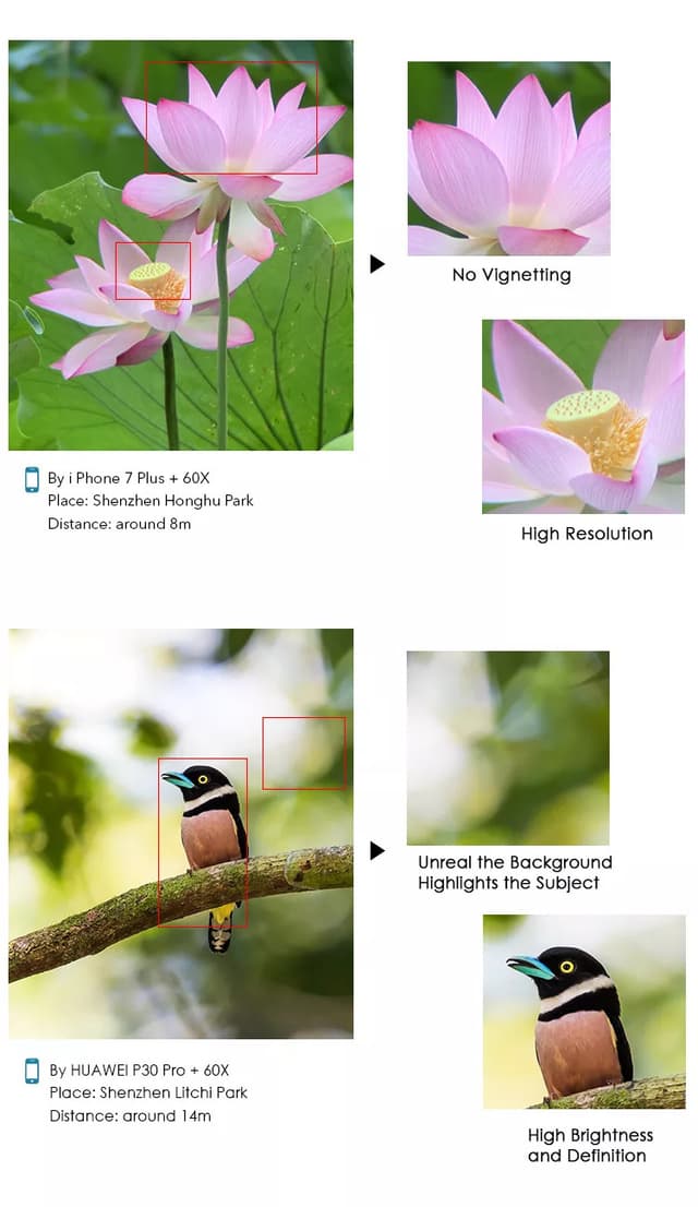 Apexel 60X Telephoto Smartphone Lens