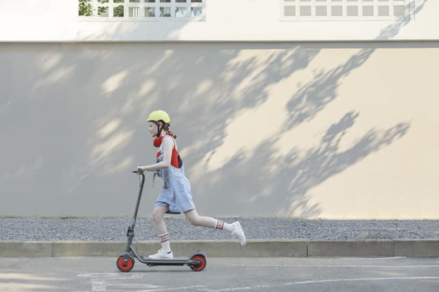 Xiaomi Ninebot Ekick scooter Zing C21