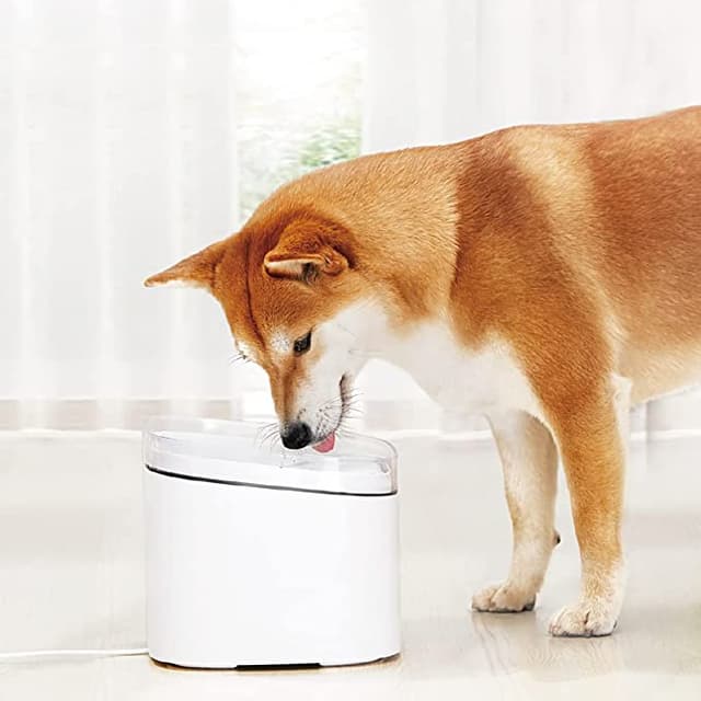 نافورة قطط ذكية شاومي Xiaomi Smart Pet Fountain EU