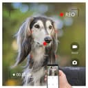 جرس باب مع كاميرا 1080 بكسل تويا Tuya Smart Video Doorphone