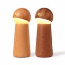 اضاءة ليد ذكية مع تحكم بالصوت واللمس Led Voice Smart Touch Sensor Control Wireless Lamp