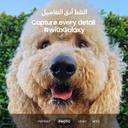 Samsung Galaxy S23 Dual SIM Smartphone