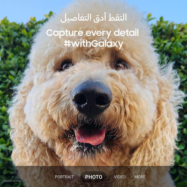 Samsung Galaxy S23 Dual SIM Smartphone