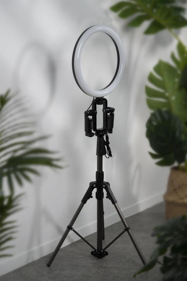 رينق لايت لايف ستريم من موماكس Momax v.log livestream ring light 12' - SW1hZ2U6MTQ2MzA5Mg==