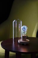 قاعدة لمبة خشبية مع غطاء زجاجي اسطواني شفاف من موماكس Momax wooden lamp stand