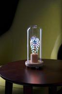 قاعدة لمبة خشبية مع غطاء زجاجي اسطواني شفاف من موماكس Momax wooden lamp stand