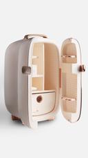 ثلاجة مكياج جرين 12 لتر 42 واط Green Lion Makeup Fridge With Temperature Control