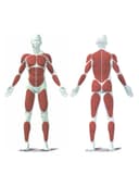 جهاز حديد متكامل 80 كغ Kettler Multi Gym