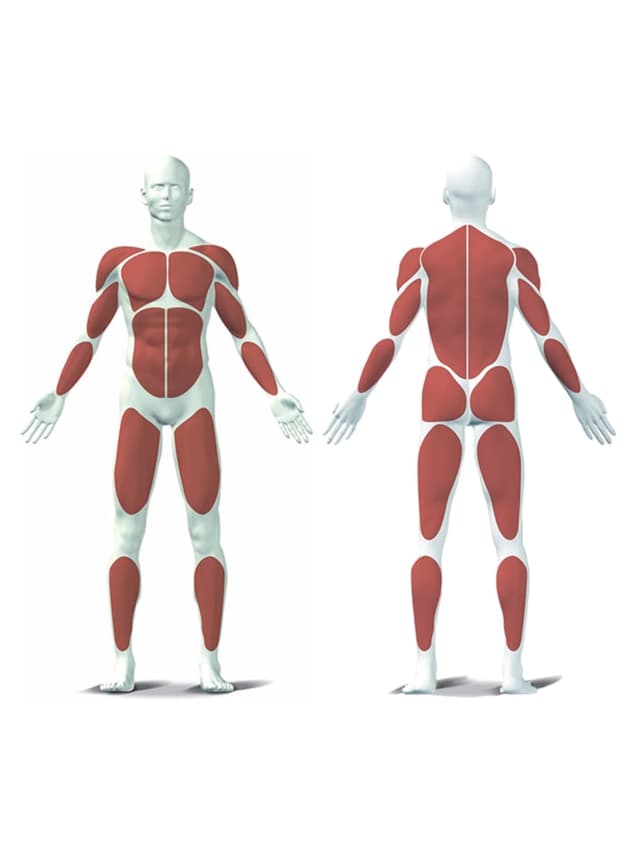 جهاز حديد متكامل 80 كغ Kettler Multi Gym