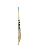 SS Cricket Cricket Bat SS Elite EW SH