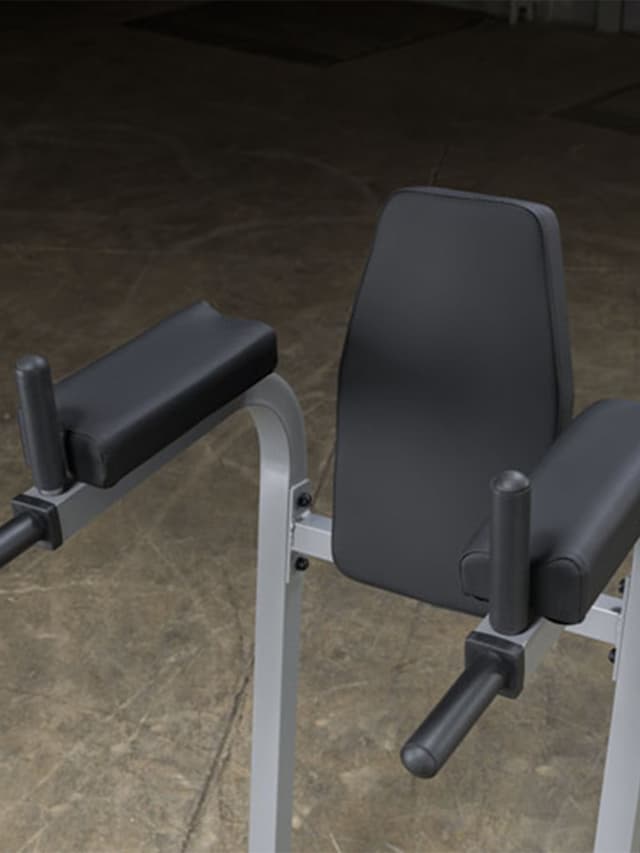 جهاز تمارين البطن السفلية بودي سوليد Body Solid Vertical Knee Raise