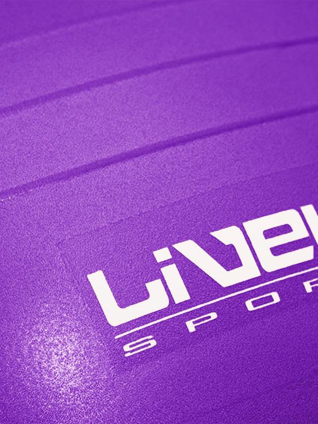 كرة تمارين رياضية مضادة الانفجار 55 سم لايف أب  LiveUp Anti Burst Gym Ball LS3222 Size 55 cm