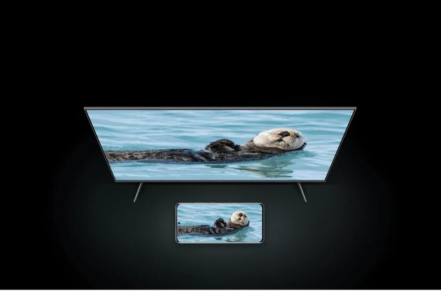 Xiaomi Q2 65" Smart TV  - SW1hZ2U6MTU5MzA4Ng==