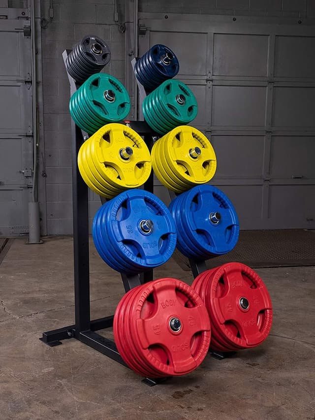 حامل اثقال للاوزان الثقيلة 10 أطراف بودي سوليد Body Solid High Capacity Plate Storage Rack