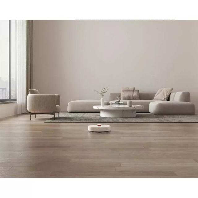 Xiaomi Robot Vacuum S10+
