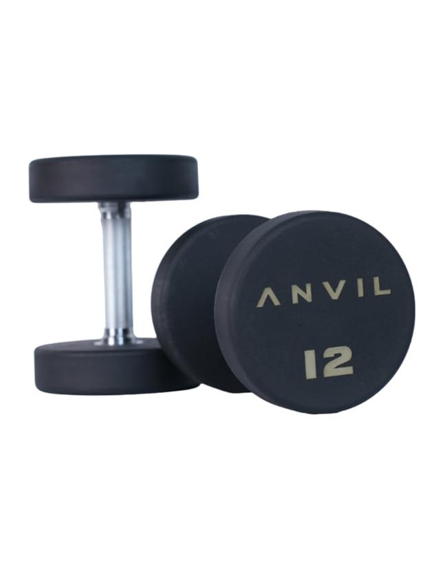 طقم دنابل بأوزان 2-20 كجم لون أسود من أنفيل Anvil Round Dumbbell Set - SW1hZ2U6MTUwODg2NA==