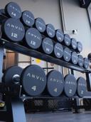 طقم دنابل بأوزان 2-20 كجم لون أسود من أنفيل Anvil Round Dumbbell Set