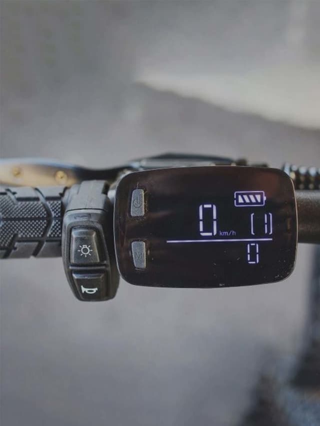 Fiido D11 Folding E-Bike | SkyBlue