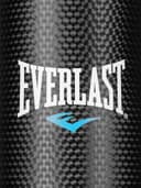 Everlast Everstrike Heavy Bag | 80 lb