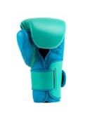 Everlast Powerlock 2 Training Gloves Color BiscaySize 12 Oz