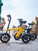 Harley Fitness E-Bike H1