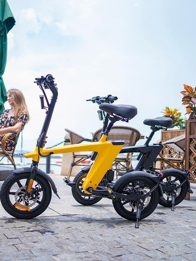 Harley Fitness E-Bike H1