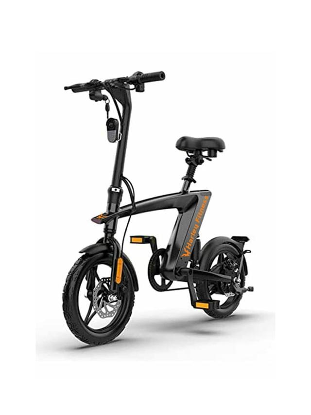 Harley Fitness E-Bike H1