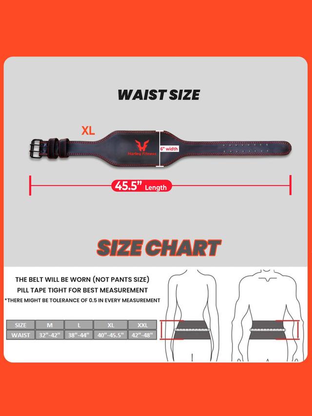 حزام الظهر الرياضي جلد طبيعي هارلي فيتنس ميديوم Harley Fitness Weight Lifting Belt