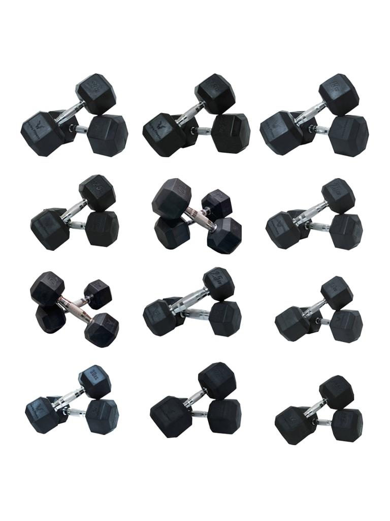 مجموعة زوج دمبلة 2.5 حتى 30 كيلو هارلي فيتنس Harley Fitness Premium Rubber Coated Bouncing Hex Dumbbells