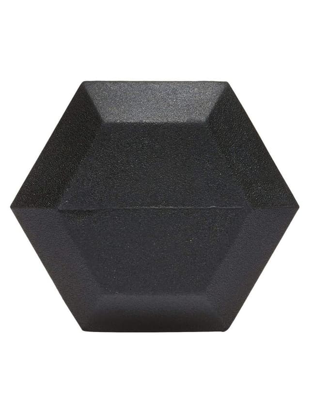 دمبل 25 كيلو إيڤانكو Ivanko Ivanco Dumbells