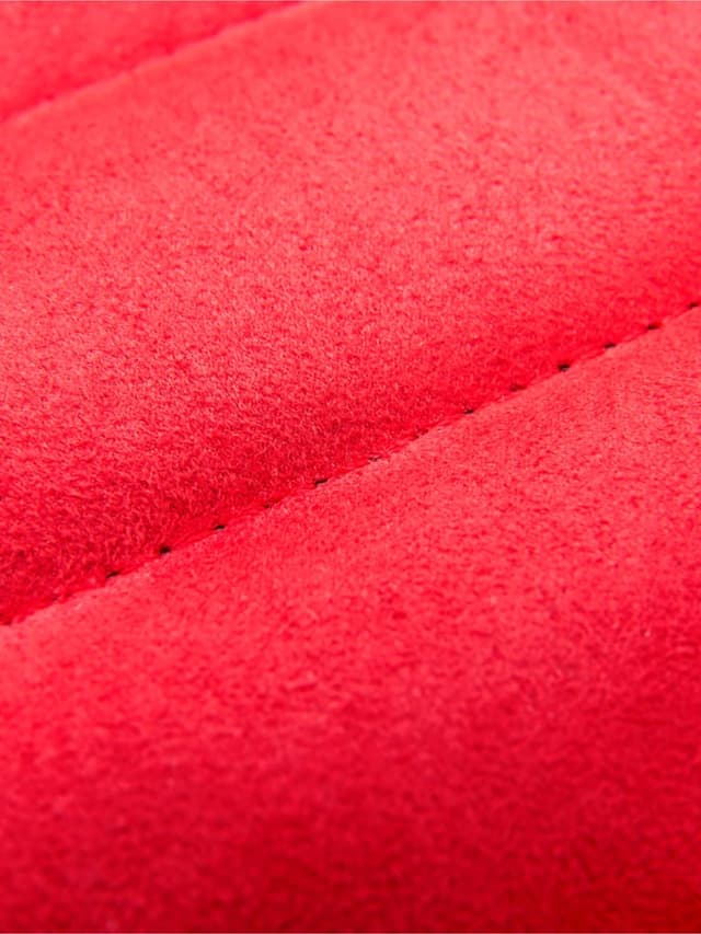 Reebok Fitness Premium Ankle/Wrist Weights Weight 0.5 Kg