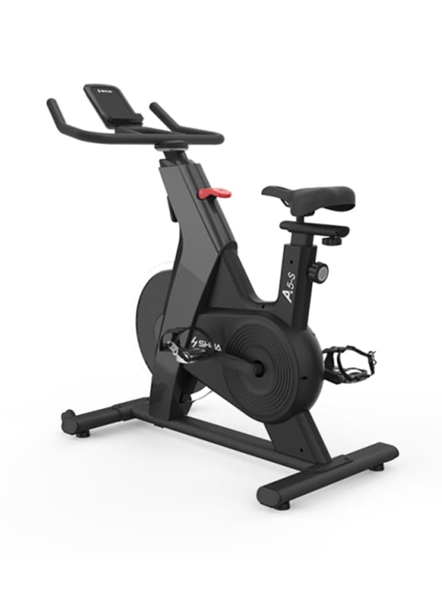 SHUA Spinning Bike - 301600