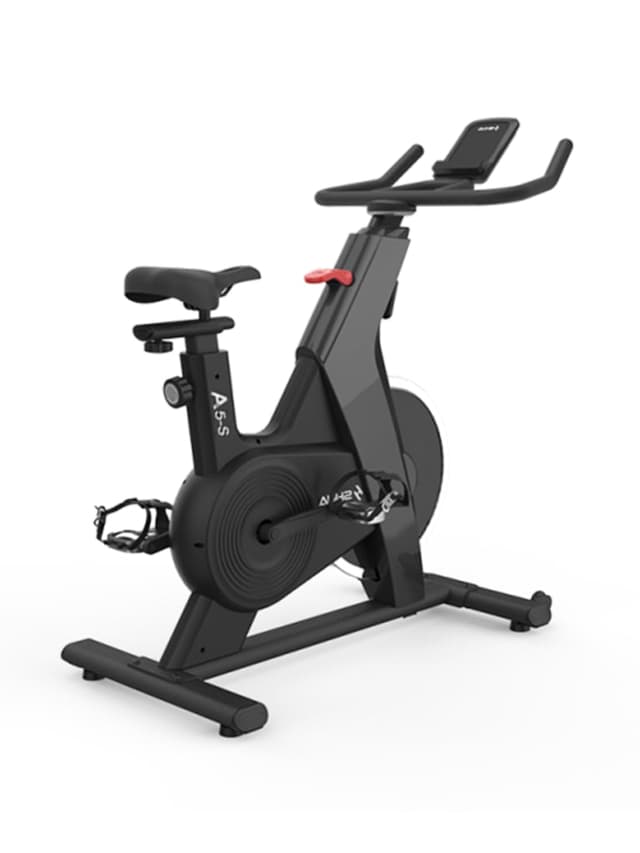 SHUA Spinning Bike - 703314