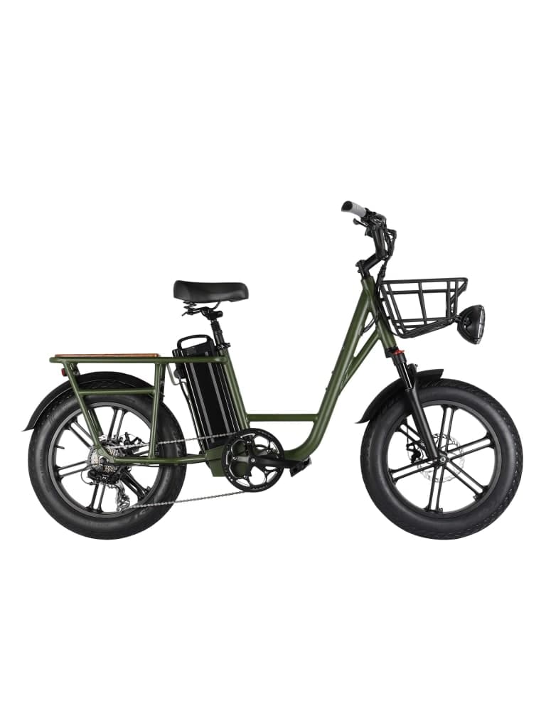 Fiido T1 Cargo Electric Bike | Army Green