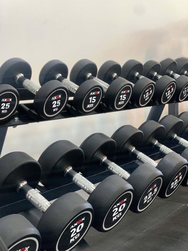 Axox Fitness Round Dumbbell Set | 12.5 -25 Kg
