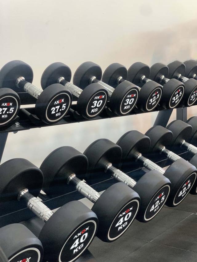 Axox Fitness Round Dumbbell Set 27.5-50 Kg