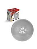 كرة التمارين بلاستيك مضادة للانفجار 75 سم فضية مع منفخ يدوي وين ماكس Winmax Gym Ball Color Silver - 311773