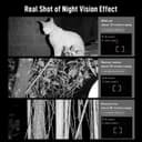 منظار دربيل ليلي 5X ابكسل مع ميزة التسجيل Apexel NV009 Owl-inspired HD Digital Night Vision Goggles