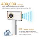 جهاز ليزر بارد لازالة الشعر ليسكولتون 400000 ومضة Lescolton Multi-Functional Freezing Point Hair Removal Device