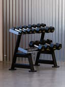 Ziva Eps 2-Tier 6 Pair Hexagon Dumbbell Rack