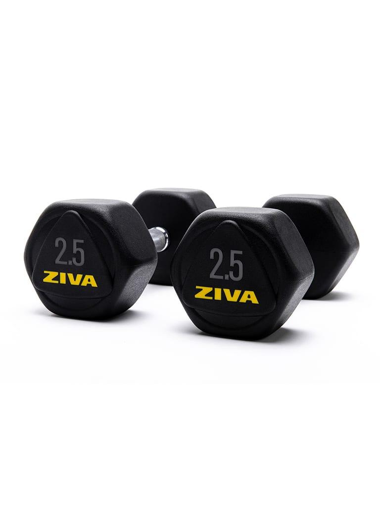 Ziva Performance Hexagon Steel Dumbbells Weight 2.5 Kg