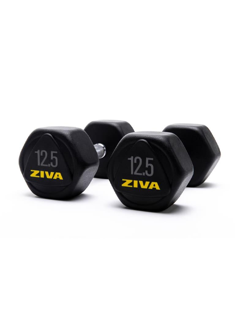 Ziva Performance Hexagon Steel Dumbbells Weight 12.5 Kg